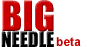 bigneedle.png