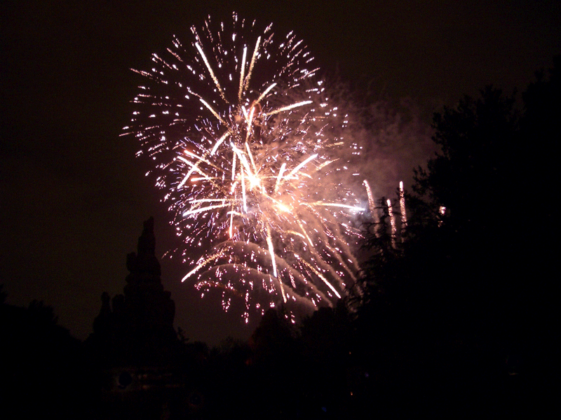 disneyfireworks.gif