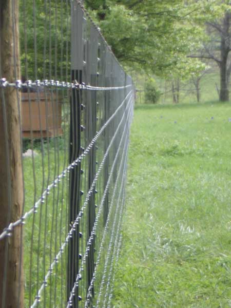 fence.jpg