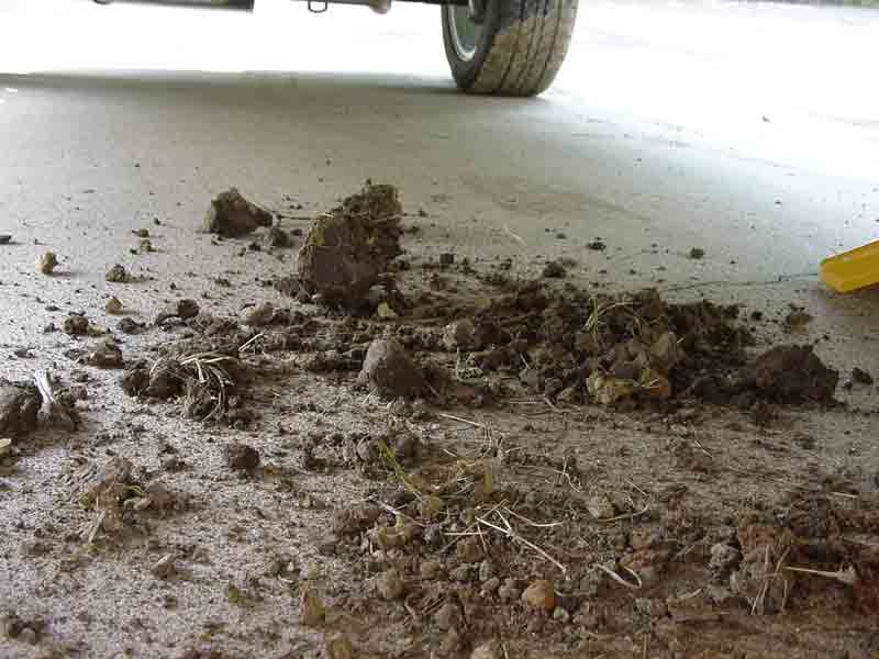 mud.jpg